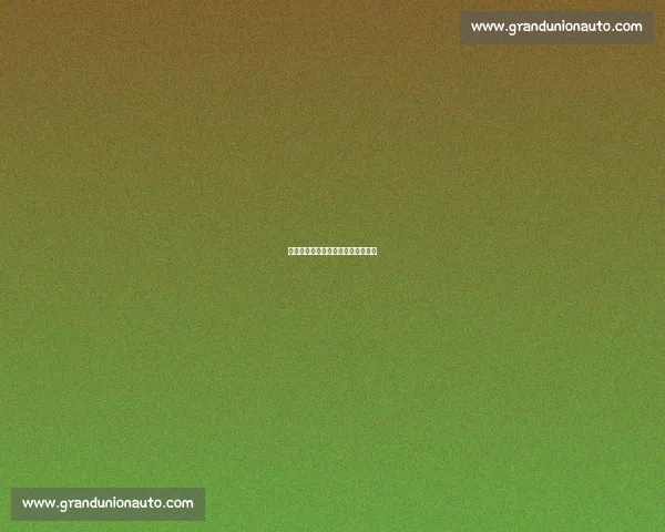 包揽双冠！中国金花闪耀六安希望赛