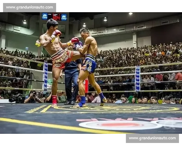 拳王皮特vs托尼巅峰对决：荣耀之战引爆全球拳坛传奇宿命再续夜战