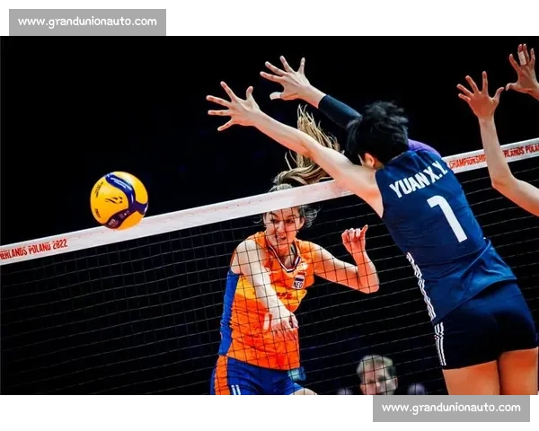 女排对决荷兰女排，激战连连中国女排力争晋级荣耀之路